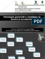 Patologie-generala-a-reptilelor-in-terarii-si-acvarii