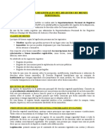 17. INSTITUCIONES REGISTRALES DEL REGISTRO DE BIENES INMUEBLES