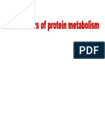 Inborn Errors of Protein Metabolism