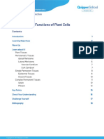 UNIT 2 Lesson 2.3 Structures and Functions of Plant Cells