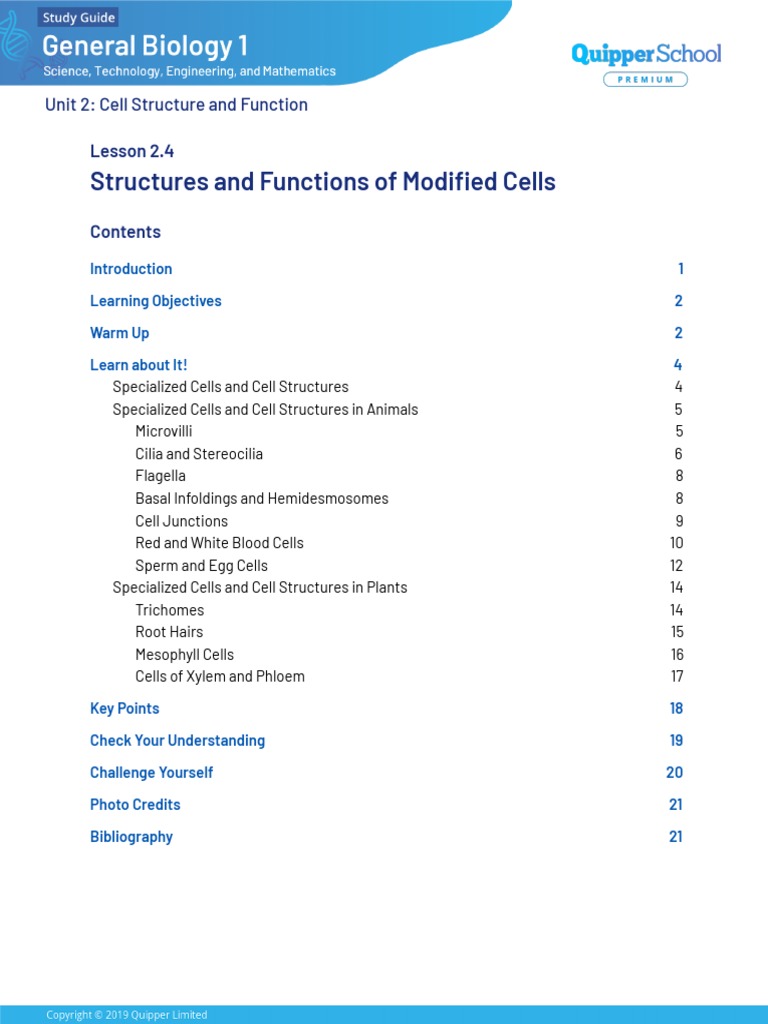 UNIT 2 Lesson 2.4 Structures and Functions of Modified Cells | PDF ...