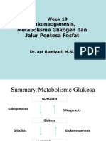 2 - Glukoneogenesis, Glycogenesis, Pentosa Posfat Patway