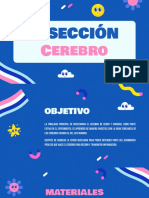 Informe de Psico