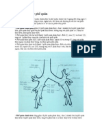 Giải phẫu cây phế quản