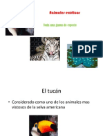 Animales Exóticos