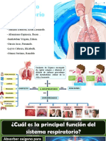 Aparato Respiratorio