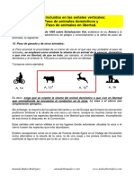 Animales Incluidos en Las Señales Verticales 01.04.2017