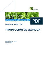 Manual de Producción Producción de Lechuga
