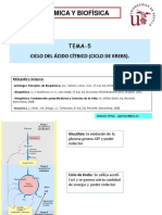 Tema-5-Ciclo de Krebs