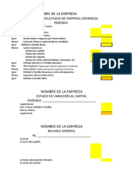 Formato Estados Financieros Empresa Comercial Perpetuo