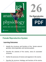 Female Reproductive Anatomy Guide