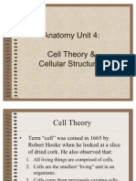 Anatomy Unit 4 - Cell Theory