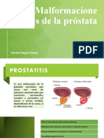 Malformaciones de La Próstata