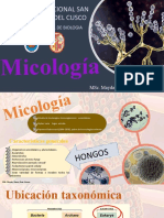 Micologia - Parte 1