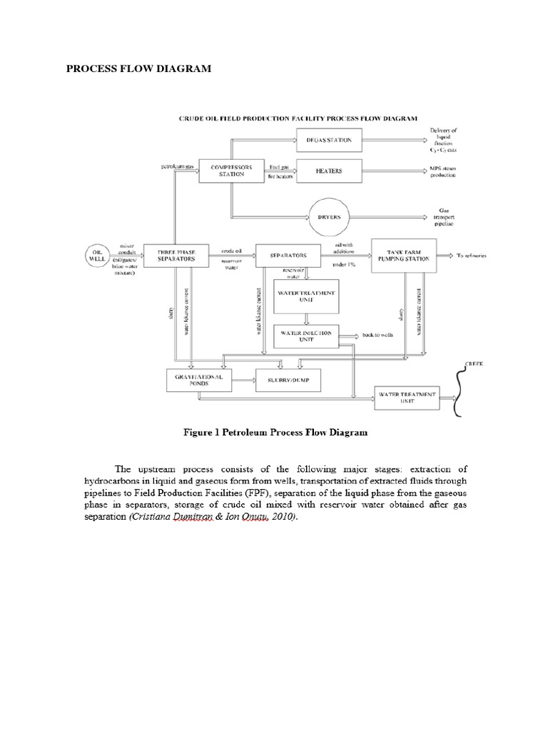 Process Flow Diagram | PDF