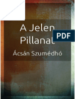 Ácsán Szumédhó A Jelen Pillanat