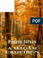 A Magam Erdeiben - Fekete Istvan