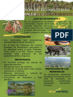 Charla Conservacion de Ecosistemas Morichales