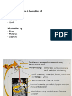 3-DigestãoAbsorção - Macro e Micronutrientes