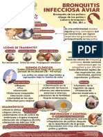 Cartel Bronquitis Infecciosa Aviar