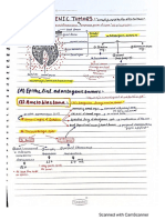 Odontogenic Tumours 1