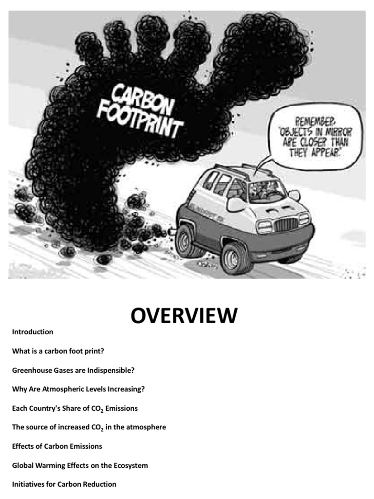 Reducing Carbon Footprint Strategies | PDF | Greenhouse Gas | Carbon ...