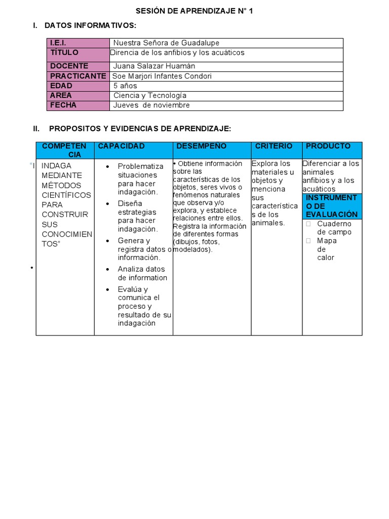 SESIÓN DE APRENDIZAJE # Juanita Miercoles | PDF | Aprendizaje | Evaluación