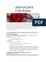 Invernaderos para Cultivo de Rosas