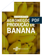 Produção de Banana Na Bahia