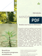 Mindfulness Psicologia Cuencos T