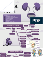 Copia de Urinary System Disease Interstitial Cystitis by Slidesgo