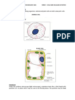 Cells and Celluar Activities Pure Bio F3 2021