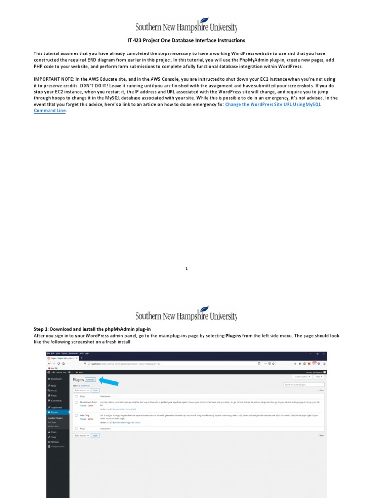 IT 423 Project One Database Interface Instructions | PDF | Word Press ...