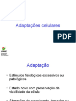 Aula 2 - Adaptacoes Celulares e Estresse Oxidativo