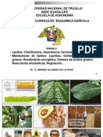 Universidad Nacional de Trujillo Sede Guadalupe Escuela de Agronomía Experiencia Curricular: Bioquímica Agrícola