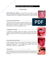 Semilogia de Cuello