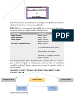 ORGANOS SENSORIALES, Vista, Tacto y Oido