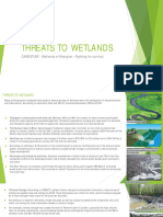 Threats To Wetlands