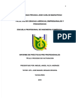 PDF Informe de Practicas Electrosur Compress