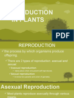 9 Reproduction in Plants