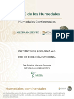 Humedales Continentales - Small