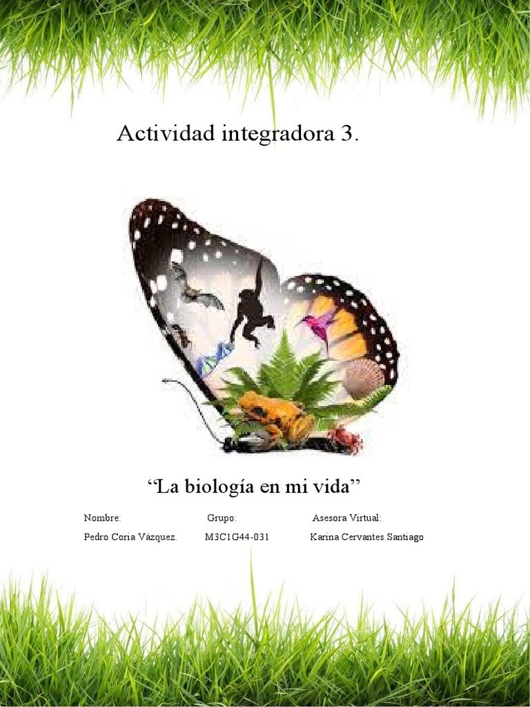 Actividad Integradora 3 Modulo 3 | PDF | Residuos | Contaminación