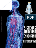 Sistema Nervioso
