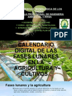 Calendario Digital de Las Fases Lunares