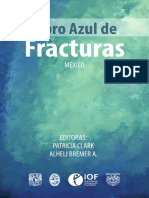 2021 Libro-Azul-De-Fracturas-Mexico