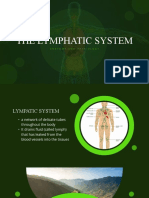 The Anatomy and Physiology of the Lymphatic System (35 characters