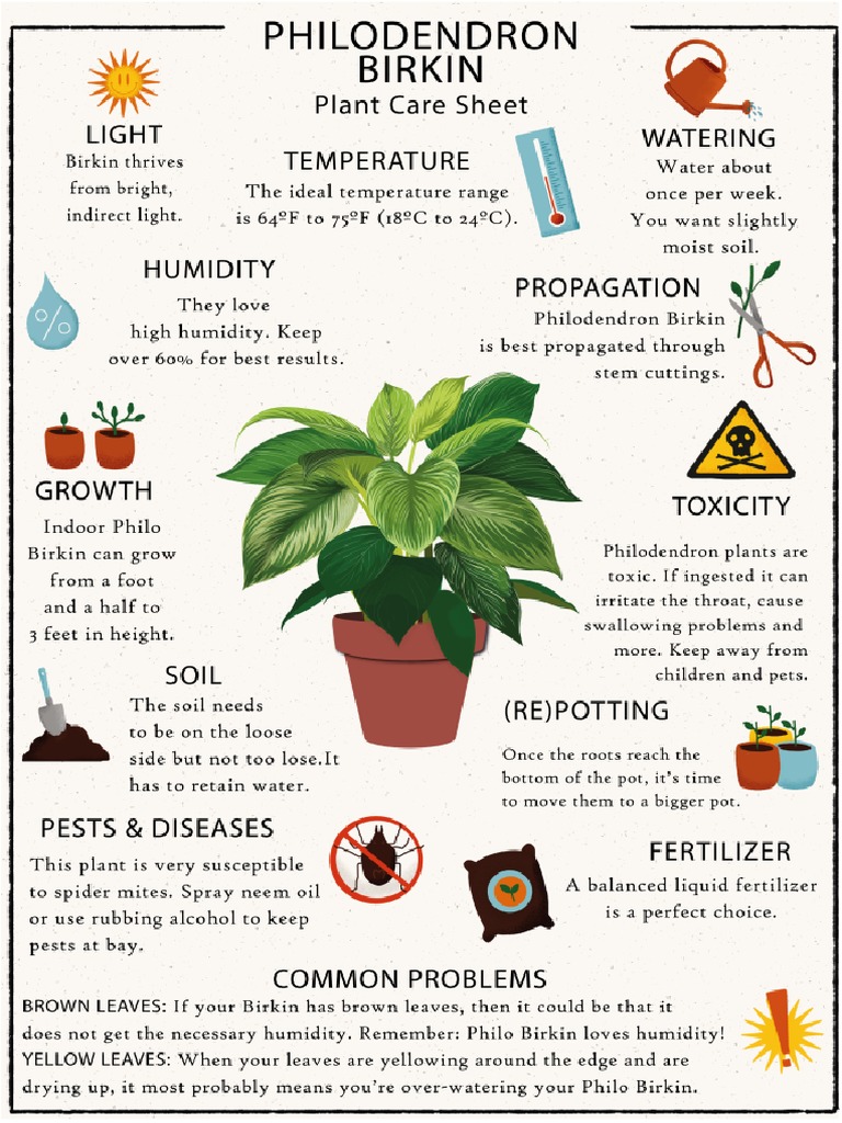 Philodendron Birkin Sheet | PDF