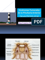 Sindromes Tumorales Pit Ant