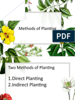 Methods of Planting 1