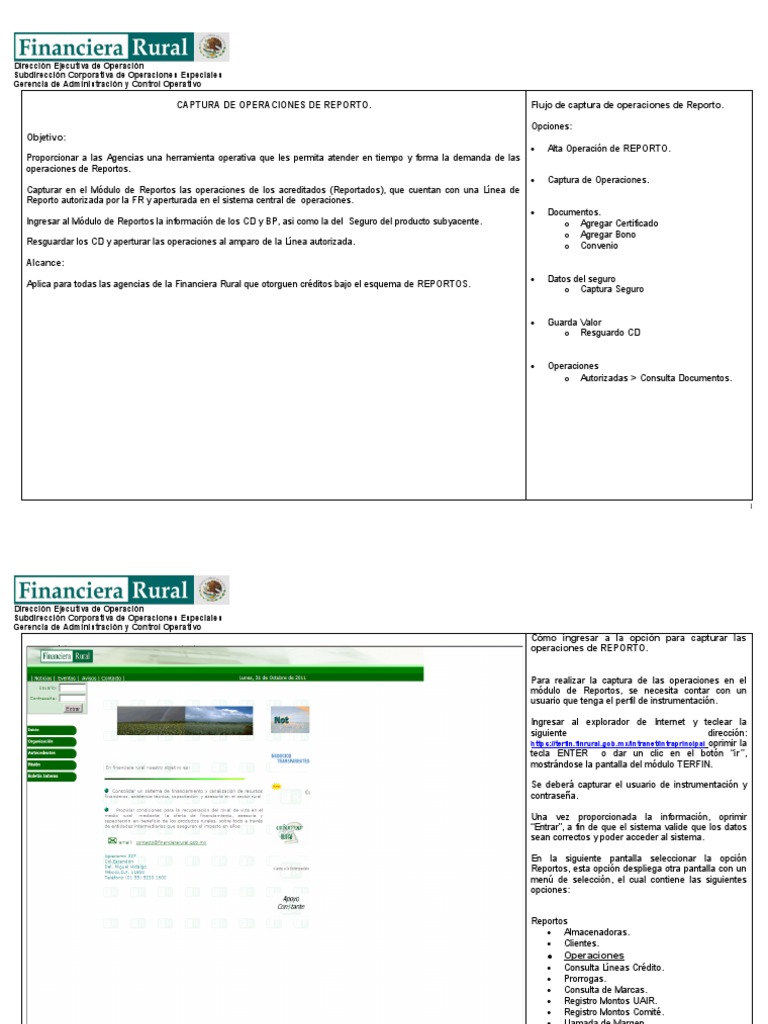 Captura de Operaciones de Reporto | PDF | Seguro | Usuario (informática)